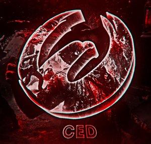 HAWK Ced | Co-ldr.