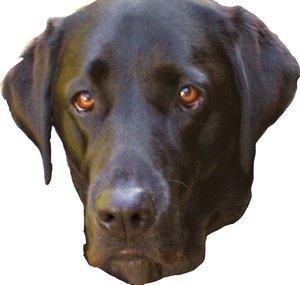 Isladogs On Access