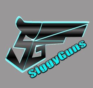SiggyGuns