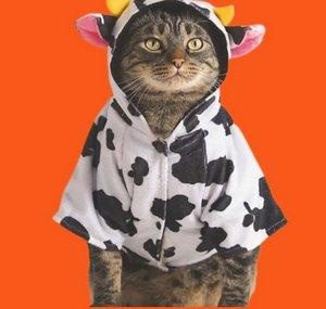 Vida Animal