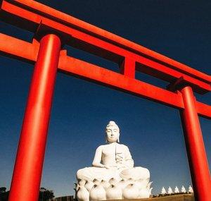 Buddha Loves
