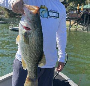 Elite Bass Fishin