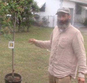 Fruitful Trees
