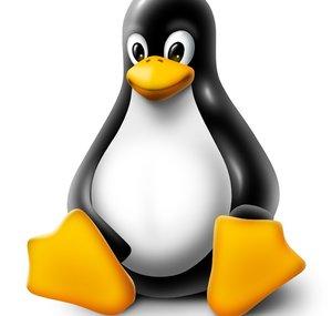 LinuxGeekCz
