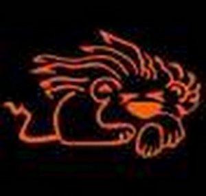 lionracingvideos
