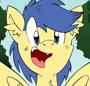 Metal Core Pony
