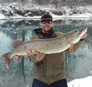 Montana Sportsman
