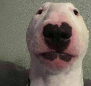 Pepe Pig