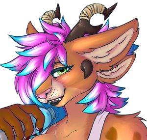 Quaggy Charr