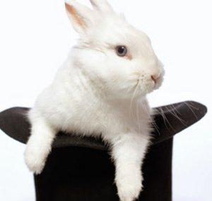 Simple Rabbit