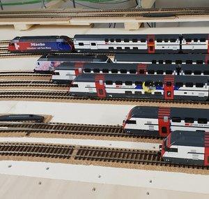Trainaction Sonnmatt