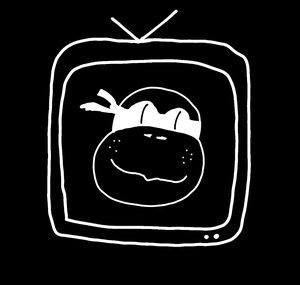 wolfik TV&RADIO
