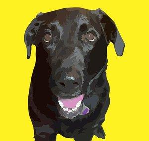 Early Morning Barking - Talking About BPD & NPD
