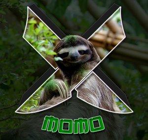 Momo Flip