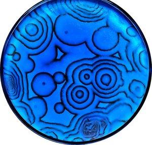 NileBlue