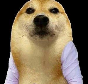ObsiCorp