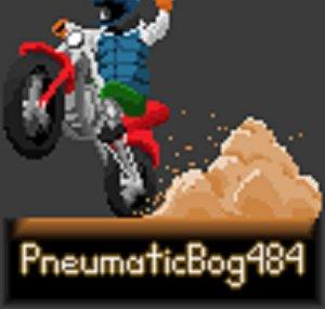 Pneumatic Bog484
