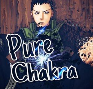 Pure Chakra Studio