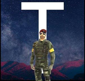 Toaninja