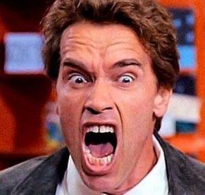 Arnold Knows Everything
