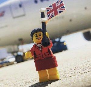 Beary Bricks