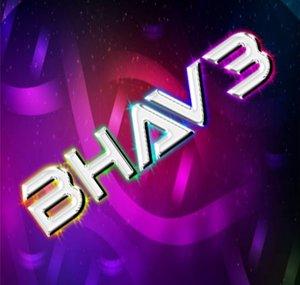 Bhav3 No.2