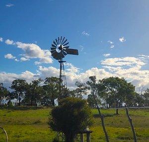 Bits Out The Back Homestead