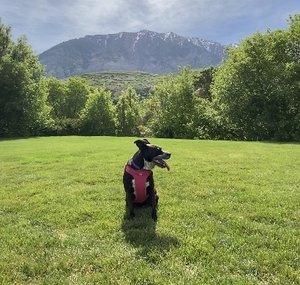 Ethan Travels