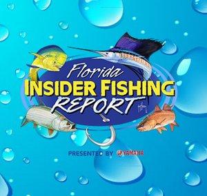 FLInsiderFishReport