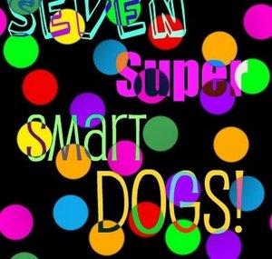 SevenSuperSmartDogs