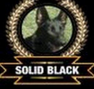 solidblackchile