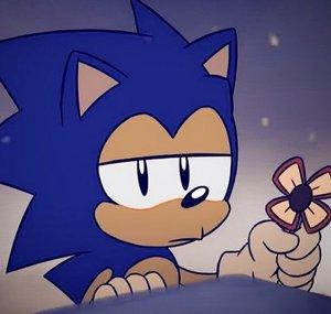 Sonic Kx The BerryHog