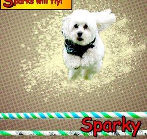SparksWillFly14