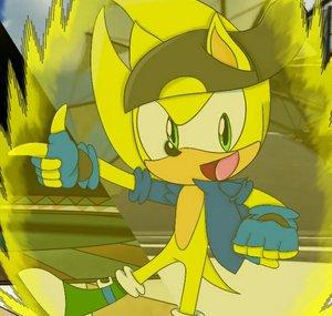 THE HEDGEHOG WARRIOR