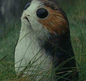 The Three Porgs