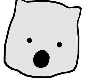 Wombat Combat Pictures