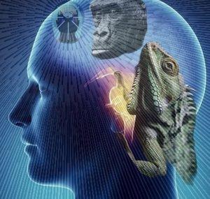 Analytical Sentient