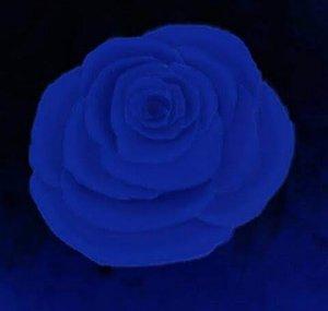 Blue Rose Audios (Terah Lochland)