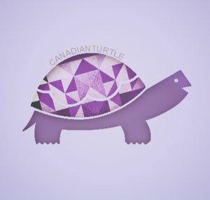 CanadianTurtle