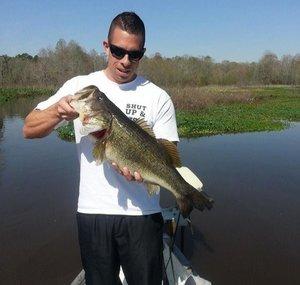 Fish on Tap