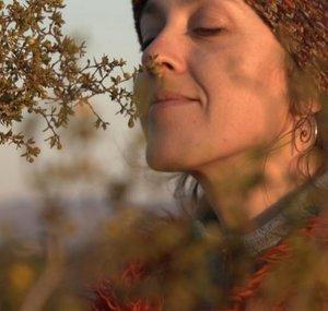 Lavender Hazelwood Witches