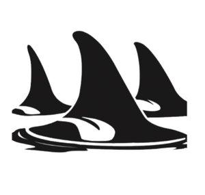 Orca Conservancy
