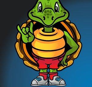 Savvy Turtle Records