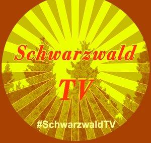 Schwarzwald TV Breaking News #Shorts