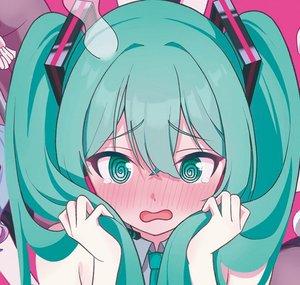 shiimau
