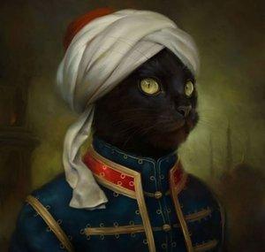 Sultan Cat