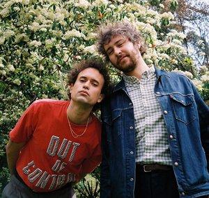 The Parrots
