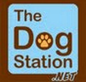 TheDogStation