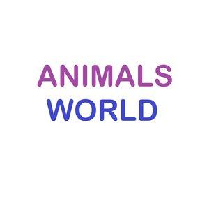 Animals World