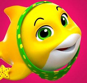 Baby Shark Songs - Hindi Nursery Rhymes